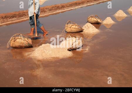 Splendido paesaggio rurale dei famosi campi salati di Kampot durante la stagione del raccolto che mostra la vita reale, la vita e la cultura locale di Cam Foto Stock