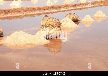 Splendido paesaggio rurale dei famosi campi salati di Kampot durante la stagione del raccolto che mostra la vita reale, la vita e la cultura locale di Cam Foto Stock