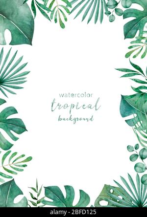 Rami disegnati a mano e foglie di piante tropicali. Cornice floreale orizzontale rettangolare verde con rami liana. Disegno. Spazio per il testo. Foto Stock