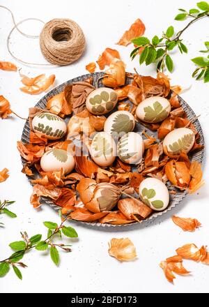 Preparazione delle uova di Pasqua per la colorazione in bucce di cipolla con un motivo di erbe fresche. Messa a fuoco selettiva. Foto Stock