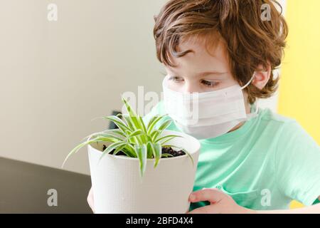 Riccio ragazzo in una maschera medica tiene un fiore in vaso e guarda fuori la finestra. Concetto di isolamento e quarantena per l'epidemia di coronavirus. Rimani a casa Foto Stock