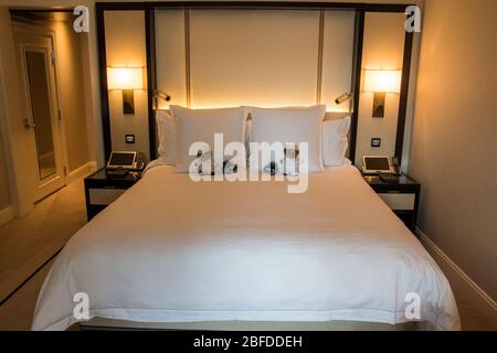 CHICAGO, ILLINOIS, STATI UNITI - DEC 12, 2015: Camera di lusso con letto e divano in hotel Chicago Grand e design elegante Foto Stock