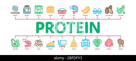 Proteina alimentare Nutrizione minimale banner infografico vettore Illustrazione Vettoriale