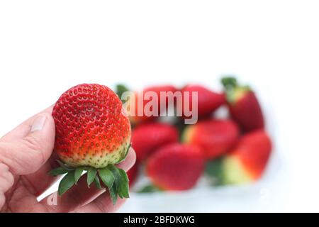 Primo piano di fragole fresche isolate su sfondo bianco Foto Stock