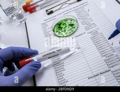 Analisi di esperti ripiene di carne contaminata dal batterio della listeria in laboratorio, germoglio causato in Spagna Foto Stock