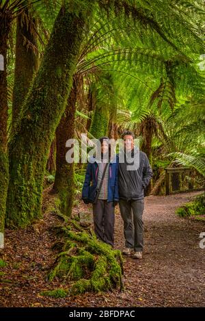 Coppia che si erge sotto la felce gigante nell'lussureggiante foresta temperata sul sentiero per le cascate di St Columba, sulla costa nord-orientale della Tasmania. Foto Stock