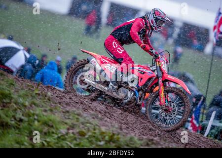 Winchester, Italia. 1 marzo 2020. winchester, Italia, 01 marzo 2020, Tim Gajer (SLO) Team HRC durante - - Credit: LM/Davide Messora Credit: Davide Messora/LPS/ZUMA Wire/Alamy Live News Foto Stock