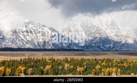 Neve coperta montagne picco di Grand Teton circondato da alberi colorati in autunno del Grand Teton National Park, Wyoming, Stati Uniti. Foto Stock