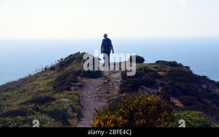 Lone Single Woman Hiker Walking on the Ridge on Castle Point tra Cleave e Crackington Haven sul South West Coast Path, North Cornwall, Inghilterra Foto Stock