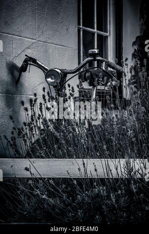 bicicletta in vecchio stile bianco e nero nel giardino dei font Foto Stock