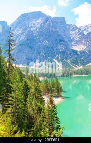 lago con pineta e montagne Foto Stock