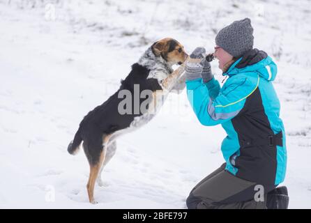 Donna matura felice che gioca con cane di razza mista nero su un terreno coperto di neve durante la stagione invernale Foto Stock