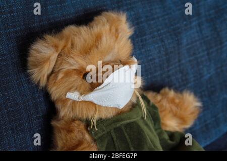 Un orsacchiotto di peluche indossa una maschera protettiva per il viso è seduto su un divano blu. Foto Stock