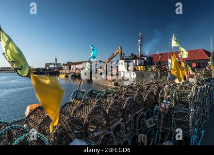 Arbroath Harbour Foto Stock