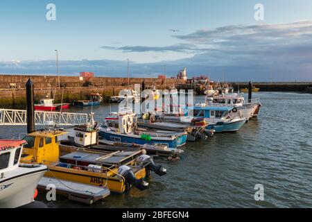 Arbroath Harbour Foto Stock