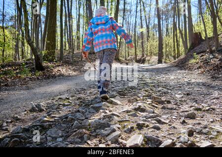 Vista posteriore di 4 anni bambino in mano con bastone di legno e camminando su un sentiero roccioso in una bella e luminosa foresta primaverile in una giornata di sole. Vedere Foto Stock