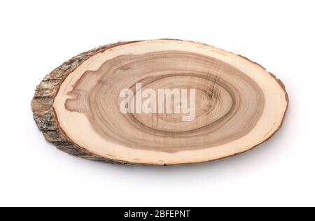 Vista frontale della sezione trasversale del tronco dell'albero isolata su bianco Foto Stock