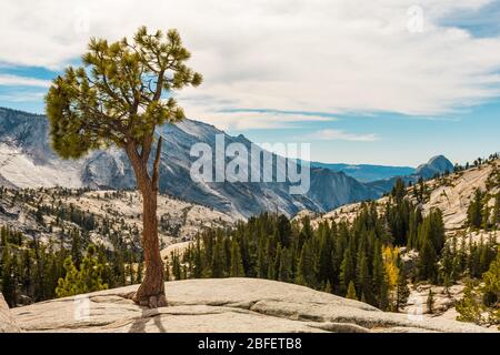 Vista da Olmsted Point dell'ambiente naturale del Parco Nazionale di Yosemite con la Half Dome sullo sfondo Foto Stock