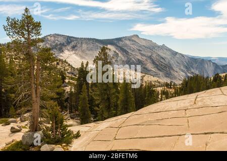 Vista da Olmsted Point dell'ambiente naturale del Parco Nazionale di Yosemite, California, Stati Uniti Foto Stock