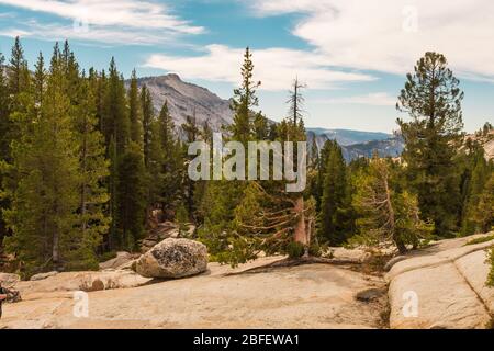 Vista da Olmsted Point dell'ambiente naturale del Parco Nazionale di Yosemite, California, Stati Uniti Foto Stock