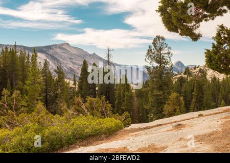 Vista da Olmsted Point dell'ambiente naturale del Parco Nazionale di Yosemite con la Half Dome sullo sfondo Foto Stock