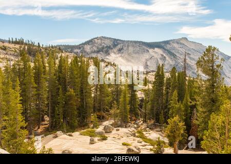 Vista da Olmsted Point dell'ambiente naturale del Parco Nazionale di Yosemite, California, Stati Uniti Foto Stock