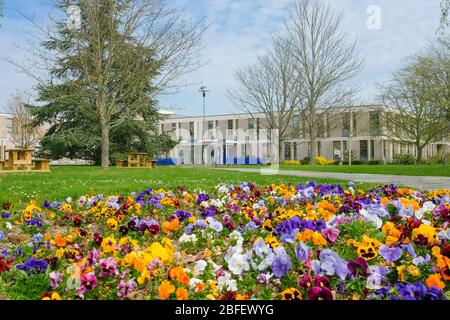 Un campus vuoto dell'Università del Kent, Canterbury, durante il blocco dei coronavirus Foto Stock