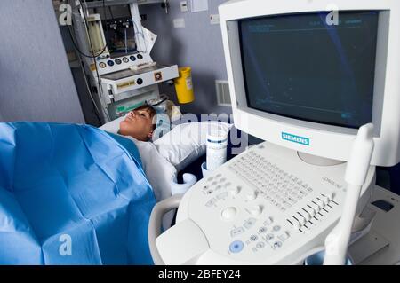 Le uova vengono raccolte da pazienti di sesso femminile durante l'intervento chirurgico, che viene effettuato sotto anestesia generale. I campioni vengono quindi passati attraverso un laboratorio per p Foto Stock