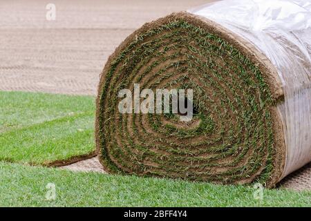 I rotoli di erba di erba di erba di erba sono disposti allo stadio Foto Stock