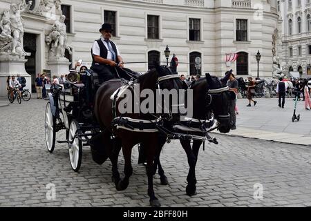 Vienna, Austria. Fiaker a Michaelerplatz a Vienna Foto Stock