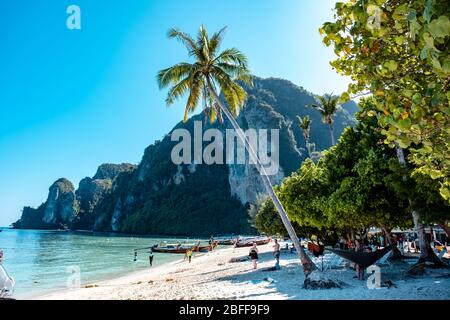 Costa e scogliere di Phi Phi Island, provincia di Krabi, Thailandia Foto Stock