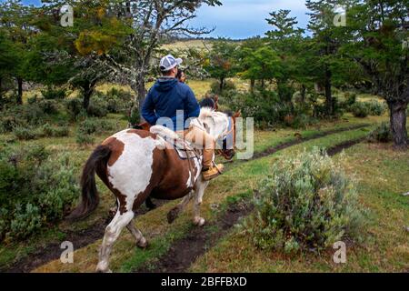 Gauchos e Tourist on Equitazione nel Parco Nazionale Torres del Paine Puerto Natales, Provincia ultima Esperanza, Patagonia, Cile. Foto Stock