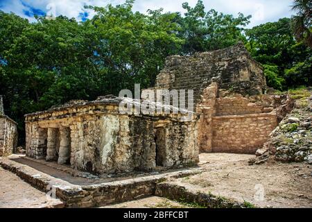 Antico edificio maya Chunyaxche Muyil rovine Maya, foresta pluviale vicino Tulum, penisola dello Yucatan, Quintana Roo, Messico Foto Stock
