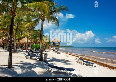 Fuori dalla spiaggia di prima linea Grand Palladium White Sand Resort and Spa in Riviera Maya, Penisola dello Yucatan, Quintana Roo, Costa dei Caraibi, Messico Foto Stock