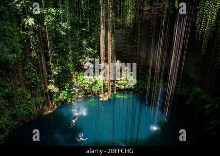 Nuoto a Cenote Ik Kil a Yucatan, Messico, una fossa naturale, o sinkhole vicino Chichen Itza. Penisola dello Yucatan, Quintana Roo, Messico. IK Kil era sacro Foto Stock