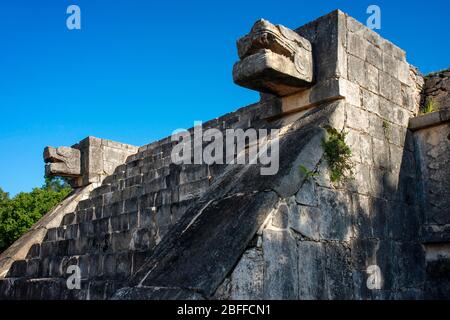 Scultura testa serpente in rovina maya del sito archeologico di Chichen Itza nella penisola dello Yucatan, Quintana Roo, Costa dei Caraibi, Messico Foto Stock