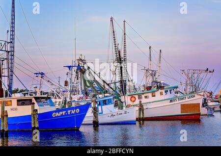 Le barche di gamberi sono ormeggiate nel porto di Pass Christian al tramonto, il 27 giugno 2013, a Pass Christian, Mississippi. Foto Stock