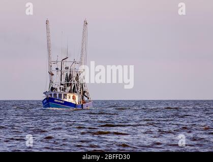 Una barca di gamberi si dirige a casa al tramonto, 27 giugno 2013, a Pass Christian, Mississippi. Foto Stock