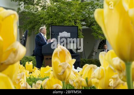 Washington, Stati Uniti d'America. 15 aprile 2020. Il presidente Donald J. Trump esprime le sue osservazioni durante un briefing di aggiornamento sui coronavirus mercoledì 15 aprile 2020, nel Rose Garden della Casa Bianca People: President Donald Trump Credit: Storms Media Group/Alamy Live News Foto Stock