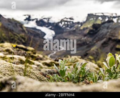 Un'incredibile ripresa nella zona di Eyjafjallajokull, nella parte occidentale dell'Islanda Foto Stock