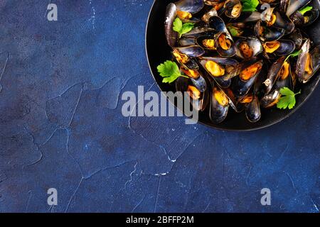 Cozze in piatto nero su sfondo blu Foto Stock
