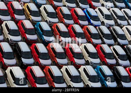 New Cars, Porto di Zeebrugge, Blankenberge, Fiandre, Belgio, Europa Foto Stock