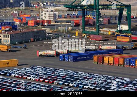 New Cars, Porto di Zeebrugge, Blankenberge, Fiandre, Belgio, Europa Foto Stock