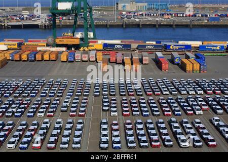 New Cars, Porto di Zeebrugge, Blankenberge, Fiandre, Belgio, Europa Foto Stock