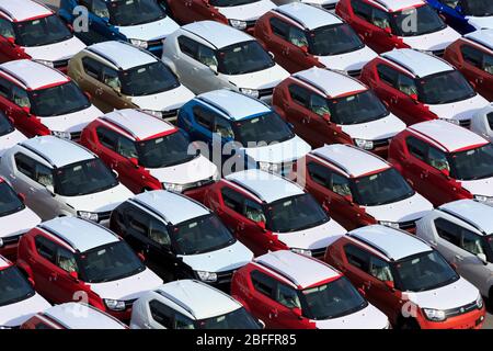 New Cars, Porto di Zeebrugge, Blankenberge, Fiandre, Belgio, Europa Foto Stock