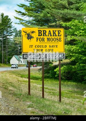 Un cartello a Whitefield, New Hampshire, avverte gli automobilisti di frenare per le alci che si trovano comunemente attraversando le strade locali. Foto Stock