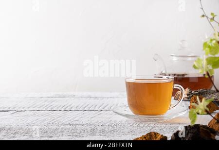 Infusione di funghi chaga in tazza di vetro. Bevanda salutare alla moda. Primo piano. Foto Stock