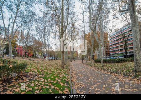 MADRID, SPAGNA - 13 DICEMBRE 2018: Un tappeto di fogliame giallo di alberi di platani invernali lungo il viale Prado a Madrid. Foto Stock