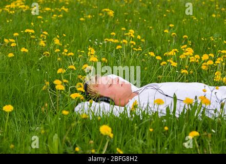 I più giovani si rilassano in un prato di dente di leone e ascoltano musica con le cuffie, 20 anni, Austria superiore, Austria Foto Stock