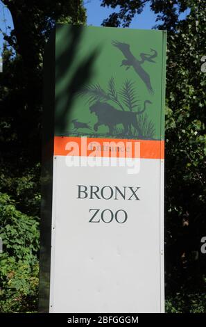 Bronx, New York, USA 3 settembre 2013 una visione generale dell'atmosfera del segno al Bronx Zoo il 3 settembre 2013 a Bronx, New York, USA. Foto di Barry King/Alamy Stock Foto Foto Stock